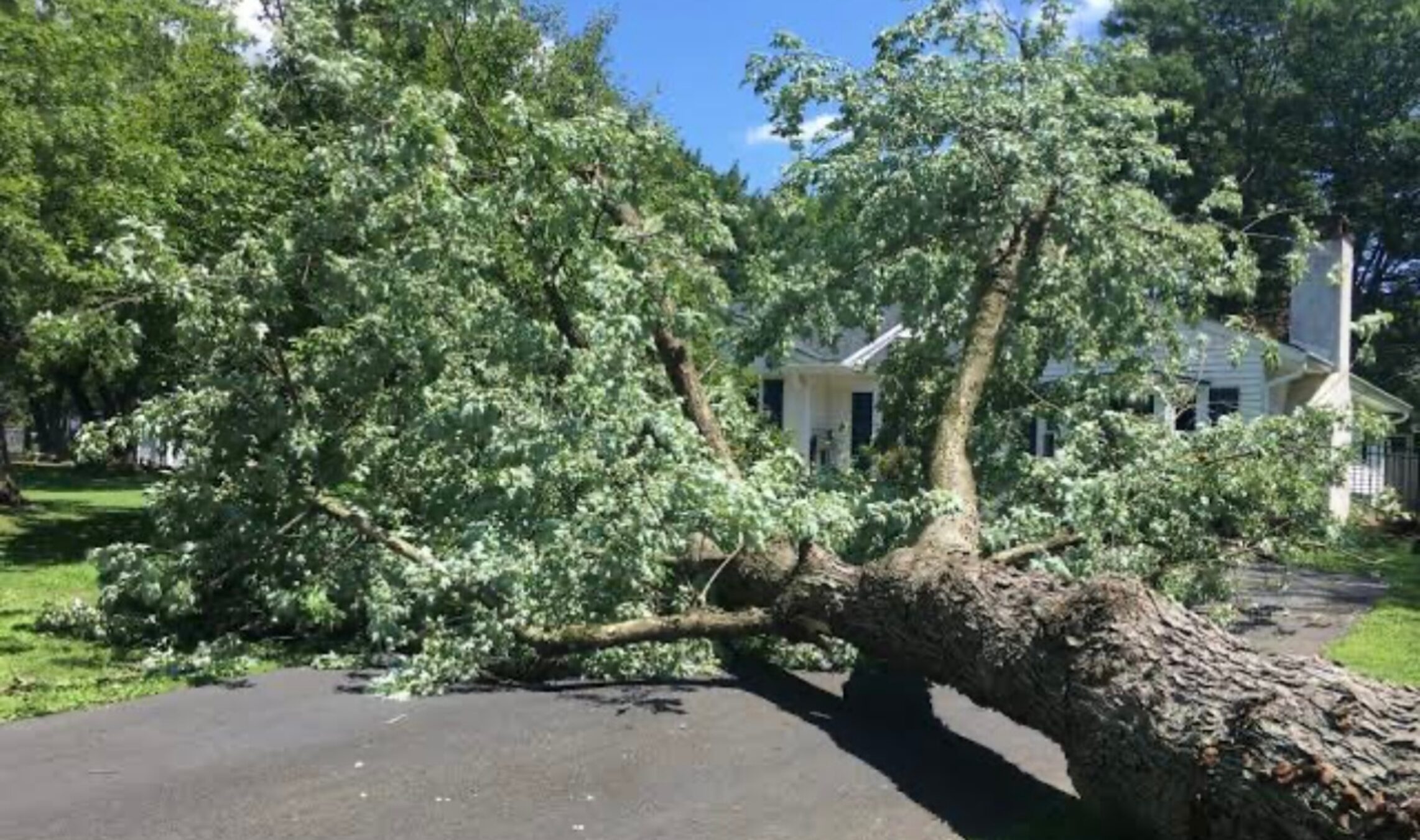 Storm damage