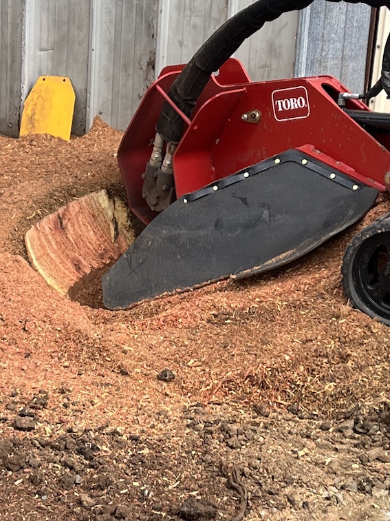 Botanic Mechanic new stump grinder at work 