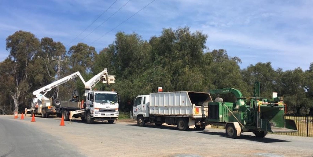 The Botanic Mechanic Crew setting up for Tree Pruning, Tree Cutting, Tree Removal, Stump Gringing with their Spotting Services.
