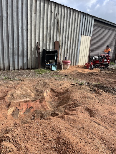 New Stump Grinder at work
